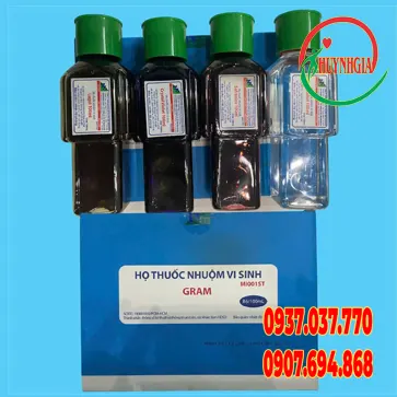 Bộ nhuộm Gram