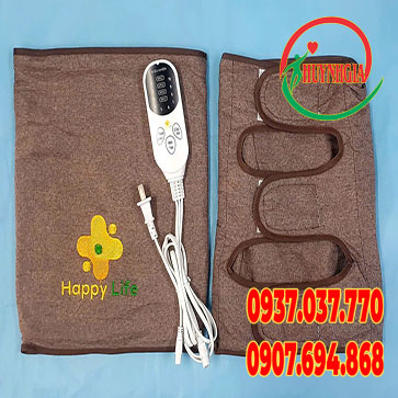 Bó gối ngãi cứu Hoàng Thịnh An