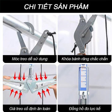 Dai keo gian cot song co dac diem ky thuat